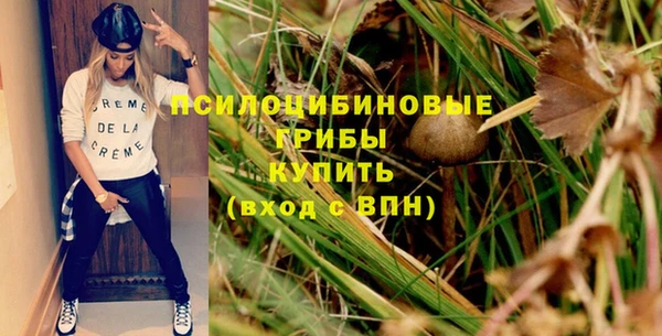 прущие крисы Аркадак