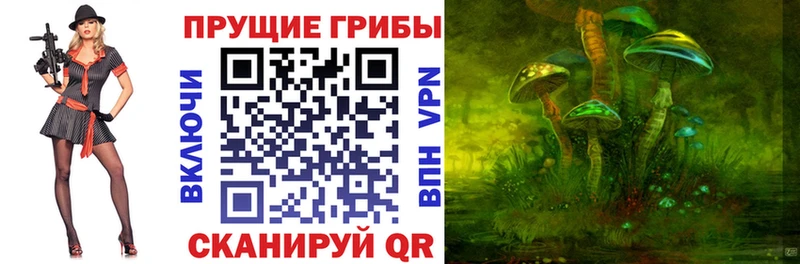 как найти наркотики  Камешково  Галлюциногенные грибы ЛСД 